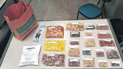 Viveiro produzirá mais mudas