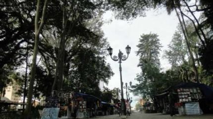 Projeto de lei que visa disciplinar a atividade dos ambulantes além de não avançar apresentaria ‘pequenas contradições’