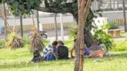 Cerca de quinze moradores de rua estão pernoitando na praça situada próximo à Rodoviária