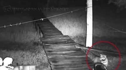 Imagem do vídeo que circulou pelas redes sociais