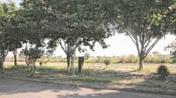 Praça leva o nome de Jesus Zanelato, que faleceu em 2003, mas se dedicou ao espaço plantando árvores