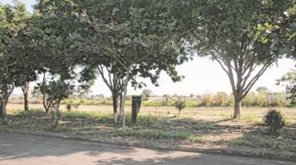 Praça leva o nome de Jesus Zanelato, que faleceu em 2003, mas se dedicou ao espaço plantando árvores