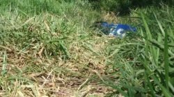 Rapaz é encontrado morto na área rural de Rio Claro. Segundo a Polícia Civil, a execução pode ter acontecido durante a madrugada dessa terça-feira (14)