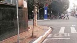 As vagas mais disputadas, segundo a GCM, são as mais próximas do centro da cidade