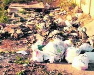 Lixo acumulado em uma área no Bairro do Estádio. Leitora fez o flagrante recentemente