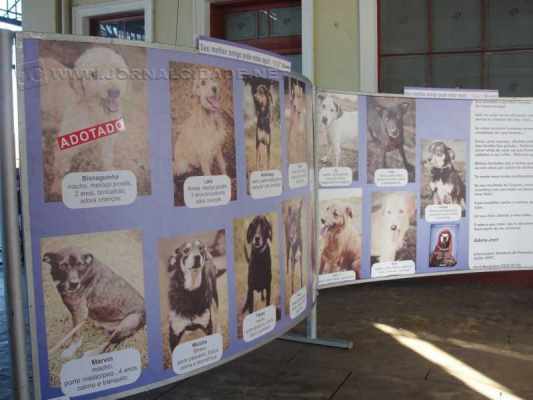 Painel, que apresenta alguns dos cachorros que esperam por adoção, está na entrada da antiga Estação Ferroviária
