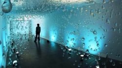 Exposição propõe diversas reflexões em tempos de crise hídrica