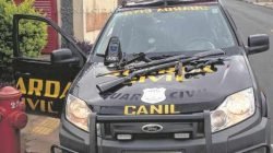 BALEADOS - A Guarda Civil Municipal registou tentativas de homicídio ocorridas no domingo (23) e na segunda-feira (24)