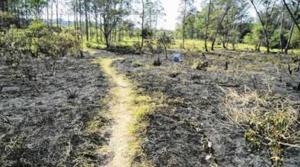 A área localizada entre os bairros São Miguel e Vila Industrial foi bastante atingida pelo incêndio de chamas rasteiras