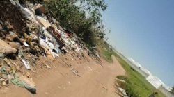 Localizada entre os parques Mãe Preta e dos Eucaliptos, a pequena estrada sofre os impactos ambientais