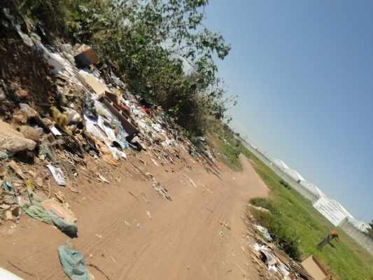 Localizada entre os parques Mãe Preta e dos Eucaliptos, a pequena estrada sofre os impactos ambientais