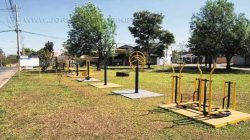 O espaço conta com uma academia ao ar livre, mas a falta de bancos e os formigueiros ainda incomodam