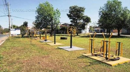 O espaço conta com uma academia ao ar livre, mas a falta de bancos e os formigueiros ainda incomodam