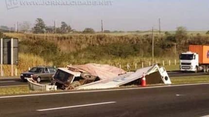 Motoristas devem ter atenção ao passarem pelo trecho na rodovia