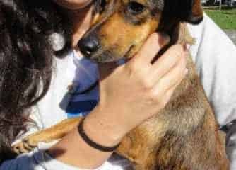 Atividade acontece neste sábado (8), das 8 às 13 horas