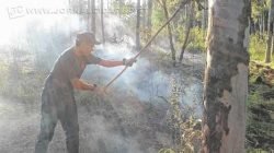 Corpo de Bombeiros informou que recebeu uma ligação informando sobre a queimada na Avenida Ápia