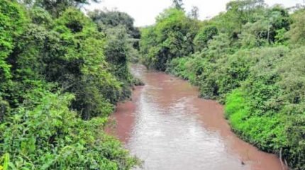 Vista do Rio Corumbataí sob a ponte que liga os bairros Jardim das Palmeiras e Jardim Nova Rio Claro. O nível do rio subiu com as chuvas dos últimos dias