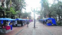 A discussão acerca do destino dos comerciantes que atuam no Jardim Público da Cidade Azul teve início no ano de 2010