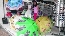 Atualmente, as sombrinhas decoradas com animais caíram no gosto de muitas mulheres