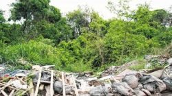 Despejo de lixo se estende ao longo do Rio Corumbataí no Bonsucesso e Novo Wenzel