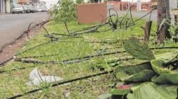 A fiação foi rompida na Rua 14, entre as avenidas 58 e 60, na Vila Olinda