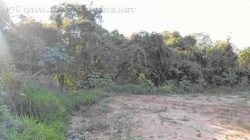 Corpo de Adilson Guimarães foi localizado, no último dia 11, em região de mata em Ipeúna