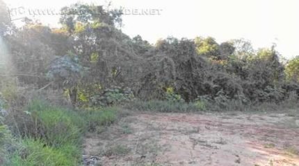 Corpo de Adilson Guimarães foi localizado, no último dia 11, em região de mata em Ipeúna