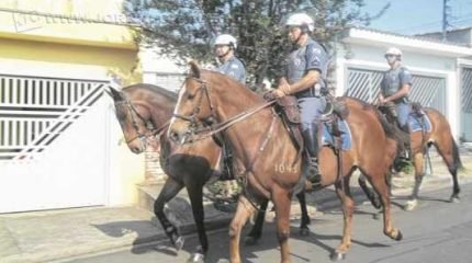 Sargento Marucci organiza Cavalaria dentro do destacamento, localizado no bairro Cervezão; policiais em seus cavalos realizam ronda em comemoração aos 30 anos da Cavalaria na cidade 