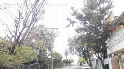 Fotos de estragos feitos pela chuva de terça-feira, enviadas por leitores pelo WhatsApp da Redação (99942-4100)