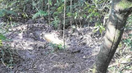 Na foto, a cova em que Adilson foi enterrado, em uma mata existente próximo a um barraco