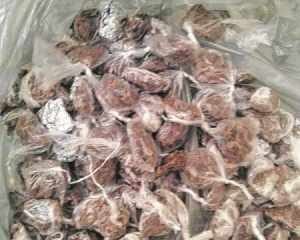 Menor foi surpreendido pela Ronda Escolar traficando maconha em escola no bairro Consolação