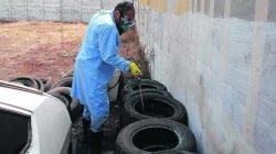 Estabelecimentos que trabalham com pneus serão obrigados a mantê-los permanentemente livres do acúmulo de água para evitar a proliferação do mosquito