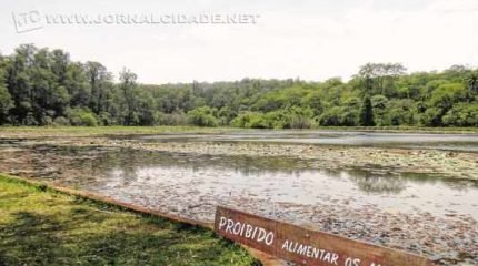 Floresta Estadual - O antigo Horto Florestal é um dos locais preferidos dos rio-clarenses. Organize um piquenique com os amigos no campo em frente ao lago. Lembre-se de levar repelente para a pele e sacos plásticos para guardar o lixo.