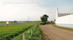 Bairro é datado da década de 1950 e fica localizado às margens da Rodovia Washington Luís e tem apenas nove quarteirões