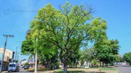 Praça fica na Rua 4-A com as Avenidas 40-A e 42-A
