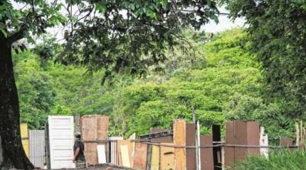 Na foto, morador saindo de uma horta que está sendo mantida em espaço público na região do bairro Jd. Paineiras