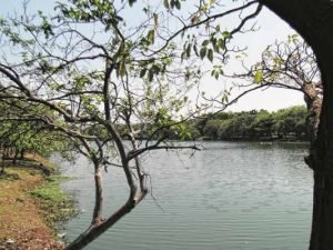 Lago Azul - O Lago Azul tem mais de 130 mil metros quadrados para toda família aproveitar. Há quadras de esportes, pista de skate, academia ao ar livre, parquinho para a criançada e áreas verdes para se deitar e aproveitar o pôr do sol.