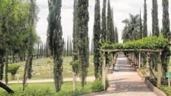 Cemitérios realizam reparos para visitação que acontece no Dia de Finados, próxima segunda-feira (2); as administrações informam a programação e horários