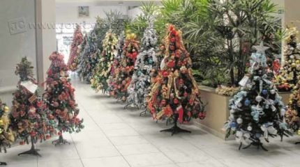 As árvores são montadas pelas voluntárias da Rede e colocadas à disposição da comunidade para que sejam alugadas; além de árvores de diversos tamanhos, guirlandas podem ser locadas