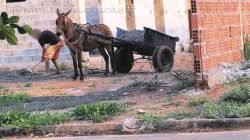 Moradora do bairro registra na foto uma pessoa fazendo a retirada de material da obra