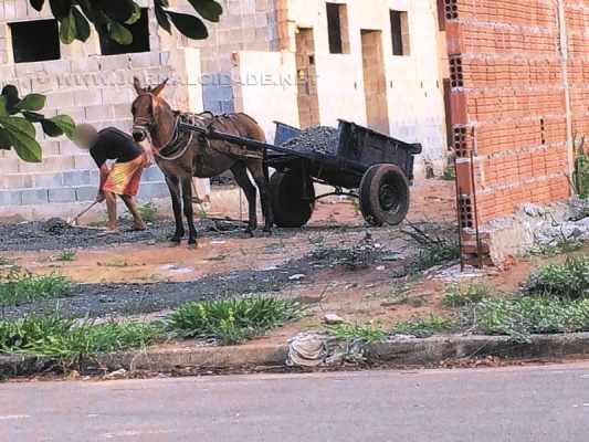 Moradora do bairro registra na foto uma pessoa fazendo a retirada de material da obra