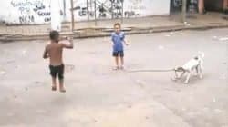 Imagem do cão brincando de corda com meninos retirada do vídeo que circula na internet