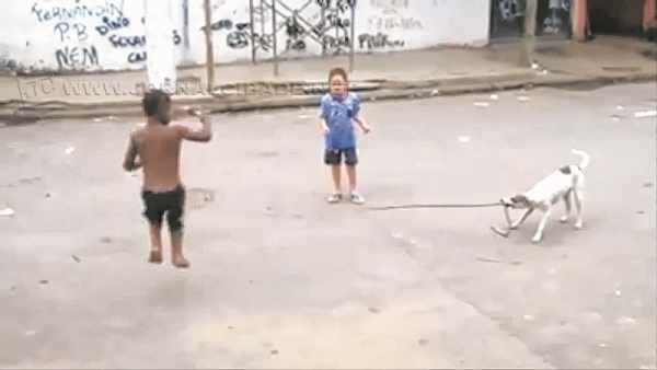 Imagem do cão brincando de corda com meninos retirada do vídeo que circula na internet
