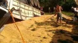 Carga de 37 toneladas de milho tombou na quarta-feira (7) no Jd. Novo I