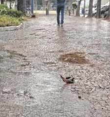 Previsão indica mais chuva durante esta semana em Rio Claro