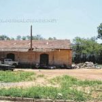 Escorpiões estão aparecendo em diversos pontos em Santa Gertrudes; a maioria deles no prédio da Secretaria de Obras