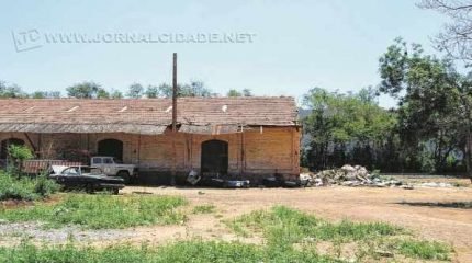 Escorpiões estão aparecendo em diversos pontos em Santa Gertrudes; a maioria deles no prédio da Secretaria de Obras