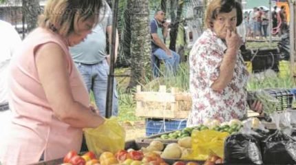 Hábito de comprar nas feiras era no início por falta de opção em supermercados, atualmente ocorre por uma vida saudável
