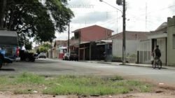 A velha figueira não compõe mais a paisagem do bairro São Benedito, que soma cerca de 15 quarteirões na região central