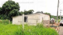 Barracos foram construídos em área verde no Jardim Guanabara. Fiscalização cabe à prefeitura, por meio da Sepladema (Secretaria do Meio Ambiente)